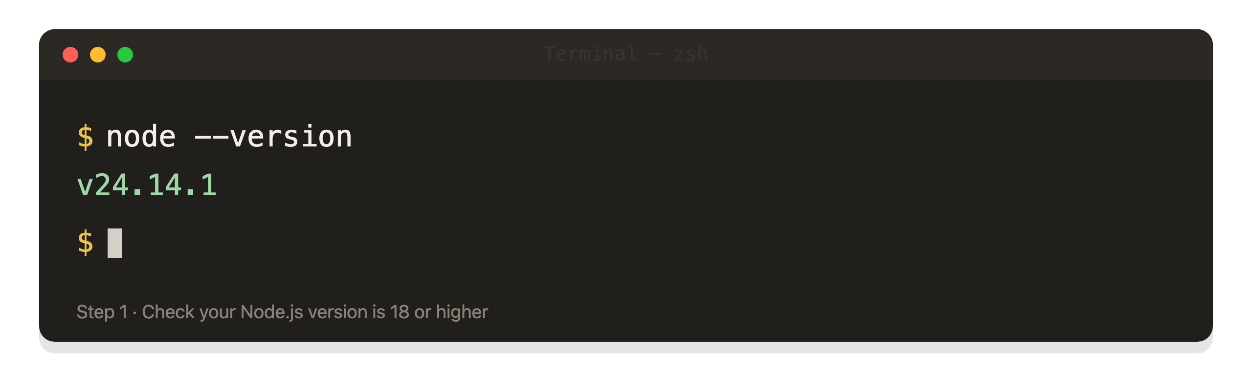 Terminal showing the node --version command returning v24.14.1
